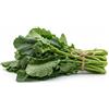 Generico Semi Cime di Rapa Centoventina 6g | Semi Ortaggi da Coltivazione Varietà Tradizionale Italiana | Germinazione Rapida | Ideali per Orto e Vaso