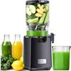 LINKChef Estrattore Frutta e Verdura - Centrifuga Frutta e Verdura con Bocca Larga 130mm, 250W Estrattore di Succo a Freddo con Tecnologia Lenta, Senza BPA, Facile da Usare e Sicuro