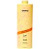 amika Forget Frizz, Shampoo, Anti-Crespo, Idratante e Vegano, 1000ml | Anti-Crespo, Idratante Intenso, Protezione Fino a 72 Ore, Vegano, Senza Parabeni e Solfati