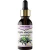 PURE CHEMICAL by CHOSA CHOSA Olio Essenziale Di Patchouli 30 ml - Olio profumato naturale al 100% per diffusori per aromaterapia - umidificatori - sauna e massaggi - Profumo intenso per ambienti