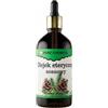 PURE CHEMICAL by CHOSA CHOSA Olio Essenziale Di Pino 100 ml - Olio profumato naturale al 100% per diffusori per aromaterapia - umidificatori - sauna e massaggi - Profumo intenso per ambienti