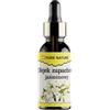PURE CHEMICAL by CHOSA CHOSA Olio Essenziale Di Gelsomino 30 ml - Olio profumato naturale al 100% per diffusori per aromaterapia - umidificatori - sauna e massaggi - Profumo intenso per ambienti