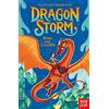 Nosy Crow Dragon Storm: Tomás and Ironskin