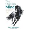 Writing Dr The Stallion Mind: Take the Reins of Self-Leadership and Lasting Success