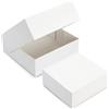 FaisTonGateau - Set di 5 scatole per torte in cartone - Lunghezza x Larghezza: 16 cm x 16 cm, Altezza 8 cm