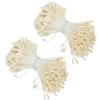 PATIKIL 2.5mm Doppie Teste Stame di Fiore 680pz Stame di Fiori Artificiali Pistillo Stame Floreale Perlato Opaco per Decorazioni Natalizie Fai da Te Carte Auguri Matrimonio Bianco Crema