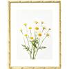 Yizzwtc 6''x8'' Cornice Foto in Metallo Vetro, Cornice Portafoto in Oro con Motivi in Bambù, Montaggio a Parete o Esposizione da Tavolo (Oro, 15 x 20 cm)
