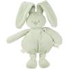 Nattou Lapidou Peluche 30 cm - coniglio peluche - regalo per neonato, regalo per neonato, ragazza e ragazzo, colore verde tiglio