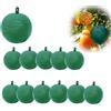 Générique 12 palline anti mosca palla trappola mosca sospesa, cattura mosca palla appiccicosa, palla appiccicosa, palla appiccicosa anti mosca trappole per insetti, cattura moscerino esterno interno.