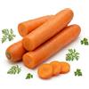 Generico Semi di Carota Saint Valery 6g | Varietà Lunga e Rustica | Semi da Orto Alta Germinazione | Ideale per Semina Autunnale e Primaverile | Carote Dolci e Croccanti | Made in Italy