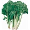 Generico Semi Bietola da Coste Liscia Verde da Taglio 6g | Alta Germinazione | Verdura da Orto Facile da Coltivare | Ideale per Semina in Vaso e Terra | Raccolta Continua