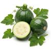 Generico Semi di Zucchino Tondo di Piacenza da 6g | Zucchine Tonde da Coltivare per Orto, Vaso e Serra | Alta Germinazione, Raccolto Abbondante | Semi Ortaggi per Orto Domestico