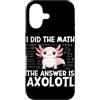 Funny Math Teacher Algebra Geometry Gift Custodia per iPhone 17 Ha fatto la matematica La risposta è Axolotl Math Calculus Formula
