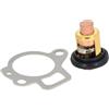 AYZLGAA for termostato Motore fuoribordo P-a-r-s-u-n F15-07000031