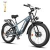 WILDEWAYEBIKE Bicicletta Elettrica Fat Tire 26x4.0, Doppio Motore, 48V 30Ah Batteria, Autonomia Fino a 80-100km, Doppia Sospensione Completa, Freni Idraulici a Disco, 7 Velocità, Ebike All Terrain per Adulti