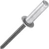 JIANDAXIN Rivetti ciechi con estremità chiusa, 50 pezzi, Ø4,8 x 10 mm, testa a cupola in alluminio, con mandrino in acciaio, rivetti pop sigillati