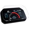 Speedo Angels NANO GLASS Proteggi Schermo compatibile con BMW R1300R (2025-)
