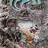 Turbid North Orogeny (CD)
