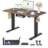 FLEXISPOT Scrivania Regolabile in Altezza a 2 Motori 120x60 cm con Piano Unico, Pannello con Memoria, Portata 100 kg