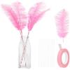 PATIKIL 12 Piume di Struzzo Naturali 10-12 Pollici / 25-30 CM Grande Kit di Piume di Struzzo per Artigianato, Vaso, Decorazione Casa, Matrimonio, Festa, Composizione Floreale (Rosso Rosa)