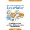 Apogeo Machine learning con SageMaker. Guida per lavorare con i big data e diventare data scientist