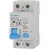 ETTROIT Magnetotermico Differenziale 1P+N 16A 300mA 220V-6KA CLASSE A