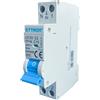 ETTROIT Interruttore Magnetotermico 1P+N 10A 220V 6KA 1 modulo din JX151060