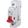 ETTROIT Interruttore Sezionatore 1P 25A 240VAC Guida DIN JX412500
