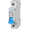 ETTROIT Interruttore magnetotermico automatico 1P 16A 220V 1 Moduli DIN Ettroit JX111660