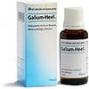 GUNA SPA GALIUM 30ML GTT HEEL