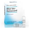 GUNA SPA RHUS TOX HOMAC 10F 1,1ML HEEL