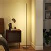 HOMCOM Lampada da Terra LED Alta 150 cm con Luminosità e Temperatura del Colore Regolabili, Lampada Moderna per Soggiorno e Ufficio, Telecomando Magnetico, Timer, Interruttore a Pedale, Argento