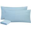 Aisbo Federe Cuscini Letto 40x80 - Coppia di Federe Cuscini Letto Matrimoniale, con Cerniera, Microfibra, Traspiranti e Morbidissime, Azzurro