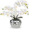 PlusFive Orchidea Finta Realistica Bianca 48 cm, Orchidee Finte, Orchidee Artificiali con vaso, Fiore di Orchidea Artificiale, Pianta Finta da Interno, Regalo Inaugurazione Casa, Soggiorno e Ufficio