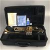 Yamaha Modello privato Yamaha YTR-3335 Bb Student con custodia con tracking nuovo