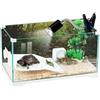 Aquariumline tartarughiera/teca in vetro per rettili, tartarughe d'acqua e di terra cm60x32x27h capacità 54 litri