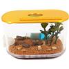 Anthillshop.es Piccola scatola per foraggio per formiche e formicai.