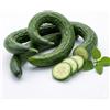 Generico Semi Cetriolo Serpente Cinese | Cetriolo Lungo e Sottile Senza Amaro | Alta Germinazione | Ideale per Orto e Balcone | Semi Naturali Non OGM