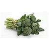 Generico Semi Cima di Rapa Broccoletto Novantina Cima Grande 6g | Semi Professionali Ortaggi | Varietà Precoce ad Alta Produzione | Ideale per Orto e Vaso