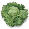 Generico Semi Lattuga Great Lakes 118 6g | Lattuga Iceberg Croccante | Semi Alta Germinazione | Varietà Resistente e Produttiva | Ideali per Orto, Vaso e Serra | Semi Professionali Multiseme
