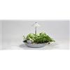 Venso EcoSolutions Sunlite - Lampada per piante, colore bianco