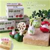 Studio Ghibli My Neighbor Totoro Vegetable Figure Collection Set 6 pezzi Kawaii