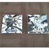 Black Bolt White Flare Booster Box Set Carta Pokemon Giapponese No Shrink Aut...