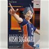 BANPRESTO Haikyu!! Figura - bella!! - Premio Koshi Sugawara Bandai Giappone nuovo