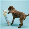 Hygge Integratori per cani: ABC del Benessere + 7 Easy Water