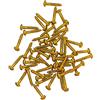 nextradeitalia 100PZ VITI FERRO OTTONATO A LEGNO TESTA BOMBATA 2X10