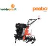 Pasbo G94 - Motozappa Diesel Lombardini con Fresa 70-120 cm ()