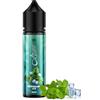 DBL Concentrato aroma, 60 ml, aroma alimentare intenso, ideale per cuocere, alimenti e bevande, anche per nebulizzatori, macchine per la nebbia, ecc. (gelato alla menta piperita)
