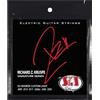 SIT Strings SIT 9-50 Richard Kruspe Signature-Set