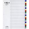 Durable 675927 - Divisorio con cavalierini colorati, etichette personalizzabili, 20 tasti, copertina non stampabile, f.to A4 extra largo, foratura universale